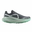 Picture of SALOMON - GLIDE MAX TR W